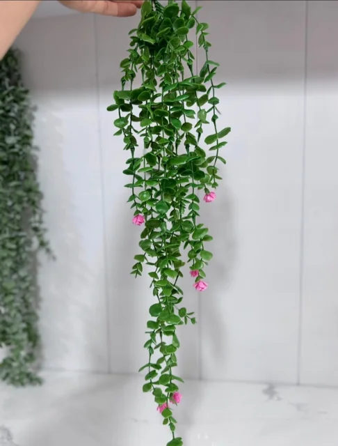 شمشاد گلدار