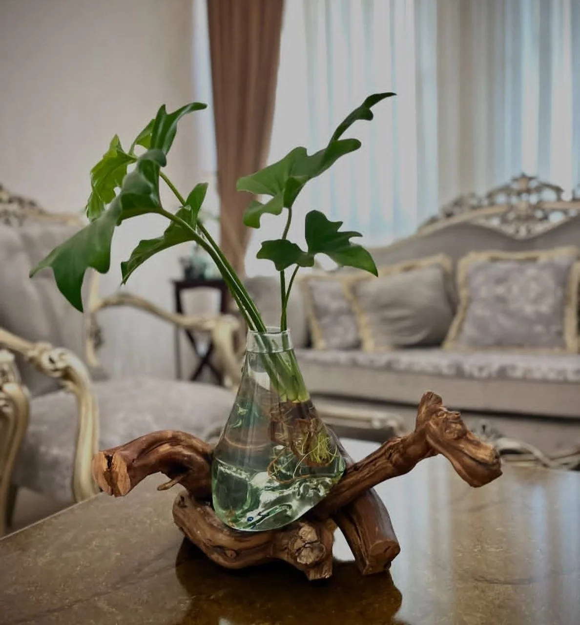 گلدان شاخه انگور